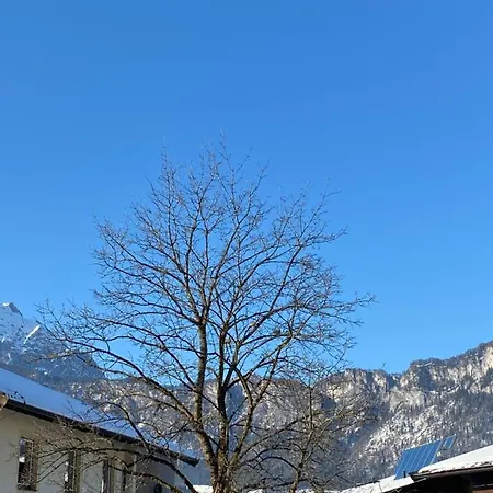 Wolfstuch Alpine Sankt Johann in Tirol